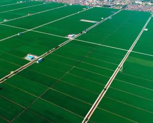 Fotografie z fotogalerie ubytování WindMill SunRise PaddyView Homestay v destinaci Sekincan