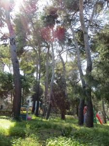 A garden outside Villaggio Hotel Ripa