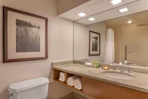 a bathroom with a toilet, sink, and mirror at Wyndham Garden Buffalo Downtown in Buffalo