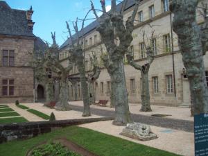 a row of trees in front of a building at Sémard in Brive-la-Gaillarde