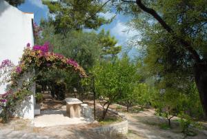 A garden outside Villaggio Hotel Ripa