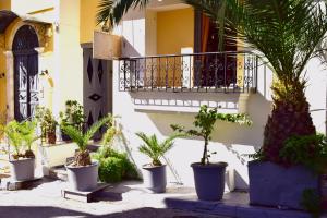 a group of potted plants in front of a building at Stoa Rooms in Chania Town