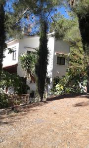 ein weißes Haus mit einem Baum davor in der Unterkunft Kampi Double Storey House in the Village in Nikosia