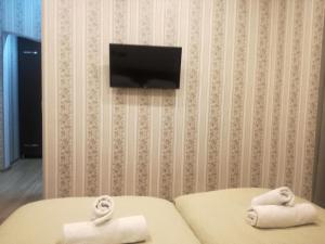 TV in/ali zabaviščno središče v nastanitvi Guest House Kakheti