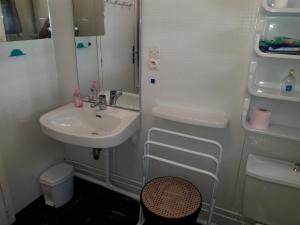 ラ・モンジーにあるGrand appartement Béro Bistoの白いバスルーム(シンク、シャワー付)