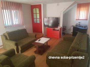a living room with two couches and a tv at "Popov VRT" Banoštor - kuća-vikendica na Dunavu-Fruskoj Gori in Banoštor