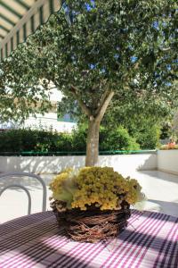 una cesta de flores sentada en una mesa con un árbol en Apartments Pino, en Makarska