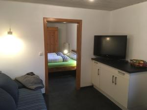 TV a/nebo společenská místnost v ubytování Ferienwohnungen In de goldisch Luft