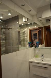 Koupelna v ubytování Apartament Euro 1 Bytom
