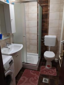 a bathroom with a toilet and a sink and a shower at Apartman Centros in Osijek
