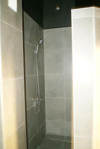 a bathroom with a shower with a glass door at Appartement Studio Tournai in Tournai