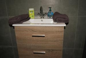 a sink in a bathroom with a sink at Appartement Studio Tournai in Tournai