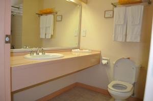 a bathroom with a sink and a toilet and a mirror at Hotel PomMarine in Bridgetown