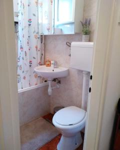 uma casa de banho com um WC e um lavatório em Sunray Studio Apartment em Zagreb