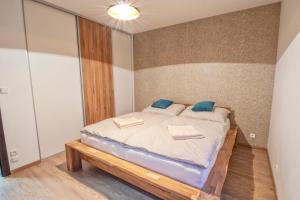 sypialnia z łóżkiem z niebieskimi poduszkami w obiekcie Horský Apartmán Klínovec Výhledy 1 w mieście Loučná pod Klínovcem