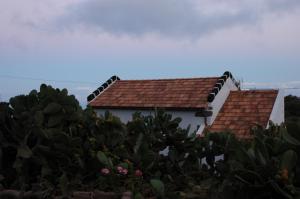 Isora的住宿－Casa Las Escaleritas，白色房子,有红色屋顶和一些植物