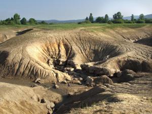 un campo de tierra erosionado con árboles en el fondo en Apartments Vrdjan, en Cerknica