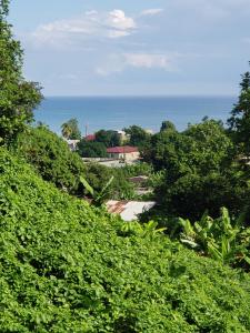 una vista del océano desde la cima de una colina en Viva Violas, en Port Antonio