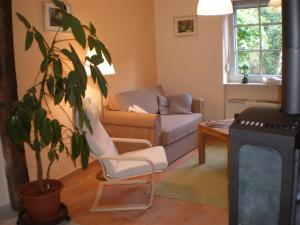 ein Wohnzimmer mit einem Sofa, einem Stuhl und einer Pflanze in der Unterkunft Ferienweingut SerwaziWein in Mesenich