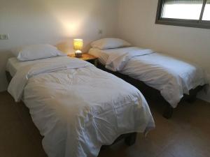 2 Betten in einem Zimmer mit einer Lampe auf einem Tisch in der Unterkunft Mool Gilboa - מול גלבוע in Bet Scheʼan