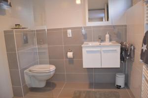 ビーレフェルトにあるSouterrainappartementのバスルーム(トイレ、洗面台付)