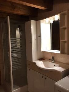 フォルミゲールにあるGites Ardoise et Girolle Formiguèresのバスルーム(洗面台、ガラス張りのシャワー付)