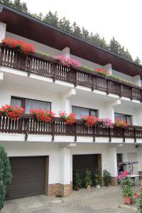 a building with flower boxes on the balconies at Pension zum Ritter in Katzhütte