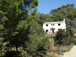 a white house on a hill with trees at Alojamiento Rural El Lario in Alcalá de los Gazules