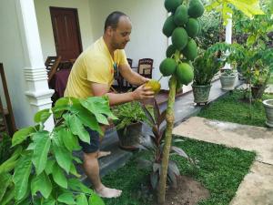 A garden outside Priyavimana resort