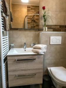 a bathroom with a sink and a toilet at Les Amandiers in Montreux