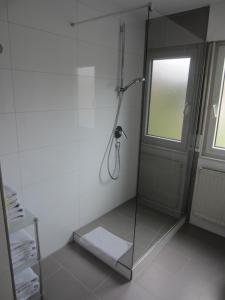 キルヒハイム・ウンター・テックにあるAppartement Munzのバスルーム(ガラスドア付きのシャワー付)