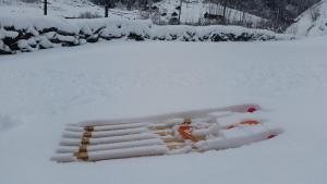 Lupshalte durante l'inverno