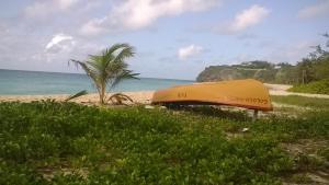 a yellow boat on the beach with a palm tree at The Pool House in Saint Philip