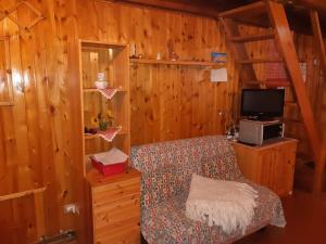 ein Wohnzimmer mit einem Sofa und einem TV sowie Holzwänden in der Unterkunft Casetta di montagna Viuex in La Magdeleine