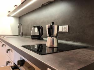 Cucina o angolo cottura di Apartmán Jestřáb č.15