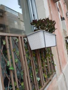 Locazione Turistica "nta Casuzza" في راغوزا: سلة على شرفة مع نباتات الفخار