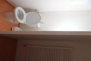 a toilet with its seat up in a bathroom at Apartmán Beskydy in Halenkov