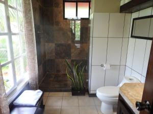 un bagno con wc e doccia di Villas las Palmas a Fortuna
