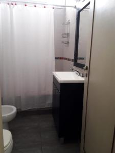 La salle de bains est pourvue d'un lavabo, de toilettes et d'une douche. dans l'établissement Edificio Valle, à Mar del Plata