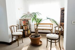 a table and chairs and a potted plant in a room at Casa Rinaldi in Poggio Mirteto