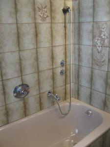 eine Dusche im Bad mit Badewanne in der Unterkunft Apartment Hubert Praxmarer in Fulpmes