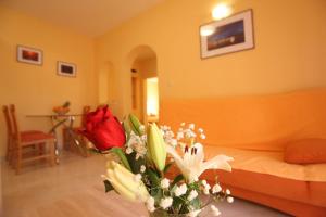 Fotografie z fotogalerie ubytování Apartments Villa Mareta v destinaci Sukošan