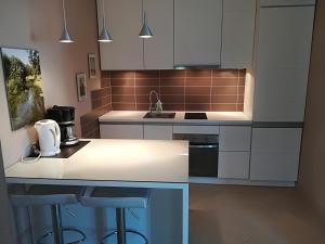 Kuchyň nebo kuchyňský kout v ubytování House Marijana Sibenik
