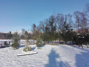 Cabañas Captren Andino v zimě