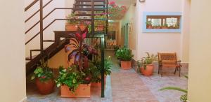 a room with a bunch of potted plants on the stairs at La Casona in Federación