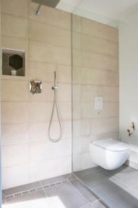 a shower stall with a toilet in a bathroom at Woodywood house Bohinj in Polje