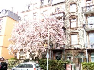 Gallery image of 1 Female Room, Frankfurt CityCentre in Frankfurt/Main