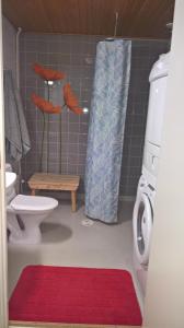 a bathroom with a toilet and a shower with a red rug at Lomaosake Meritullinraitti 1 B20 in Oulu