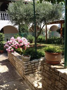 a garden with pink flowers in pots on a stone wall at Apartment Stinjan, Istria 4 in Štinjan