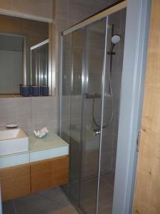 W łazience znajduje się prysznic ze szklanymi drzwiami. w obiekcie Apartmán Jestřáb 5 w Jańskich Łaźniach +37 zdjęć